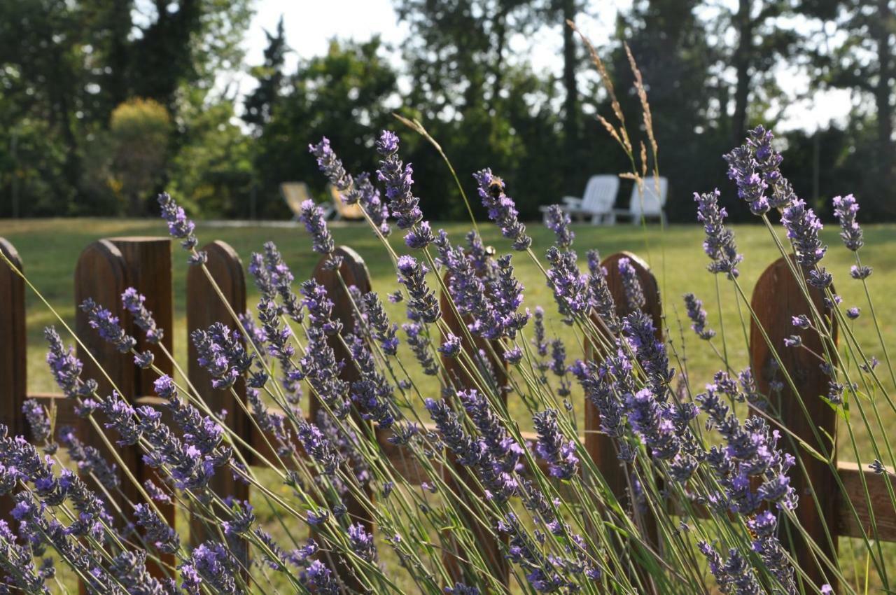 Agriturismo Testalepre Greve in Chianti Exterior foto